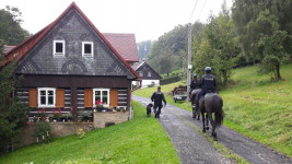 policie chaty koně